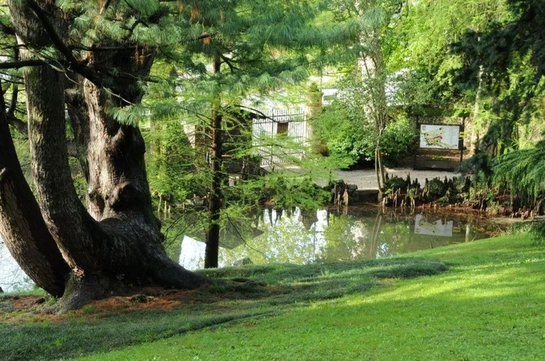 Sensory garden