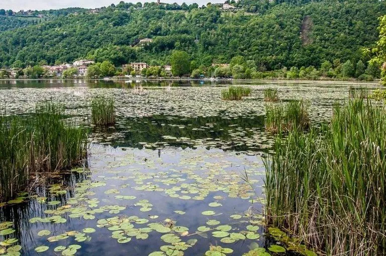 WWF wetland in Vicenza
