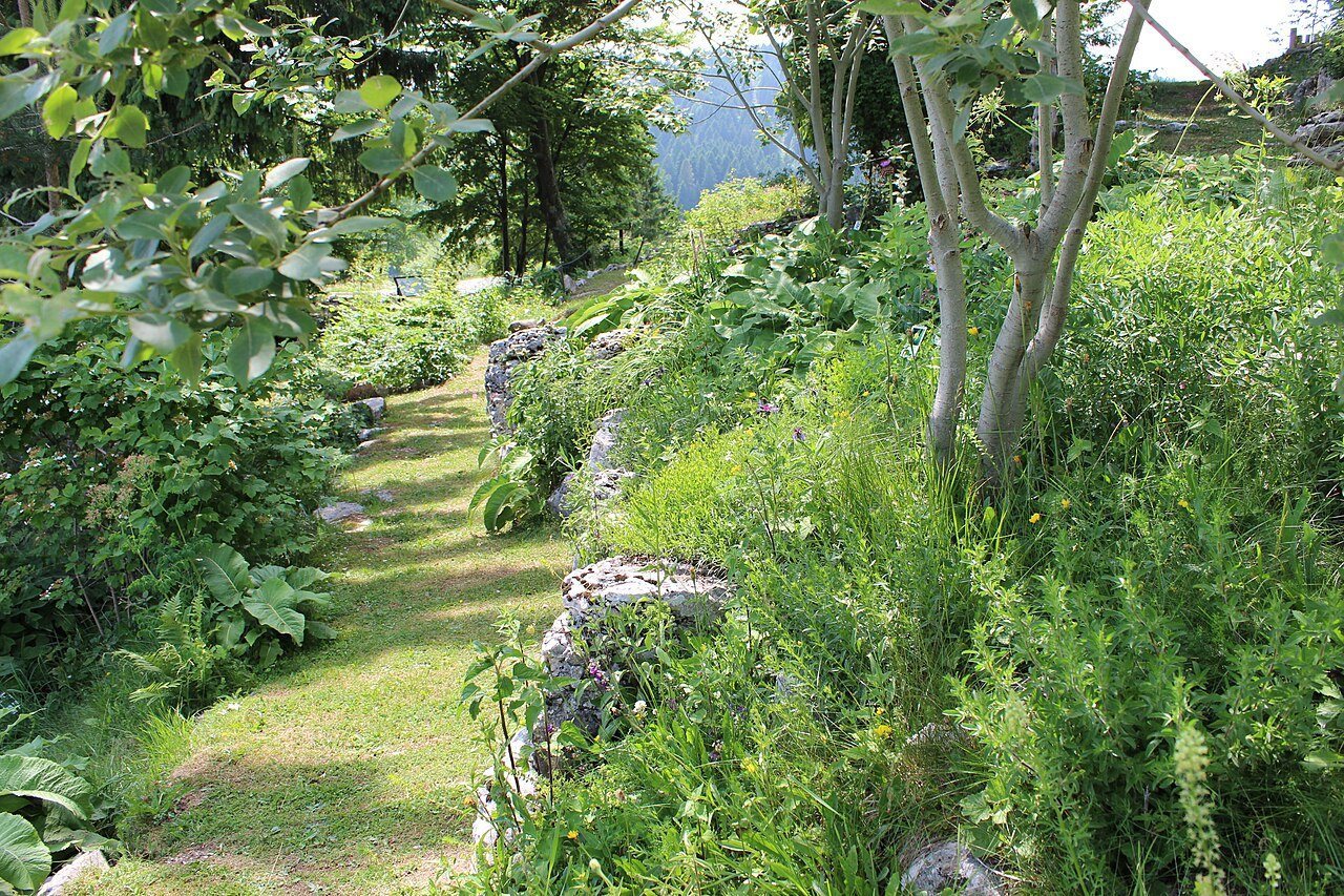Alpine botanical garden above Vicenza