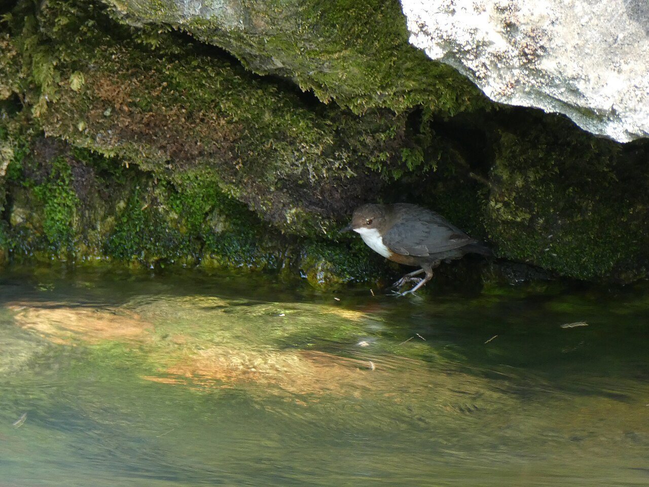 Grotte di Oliero
