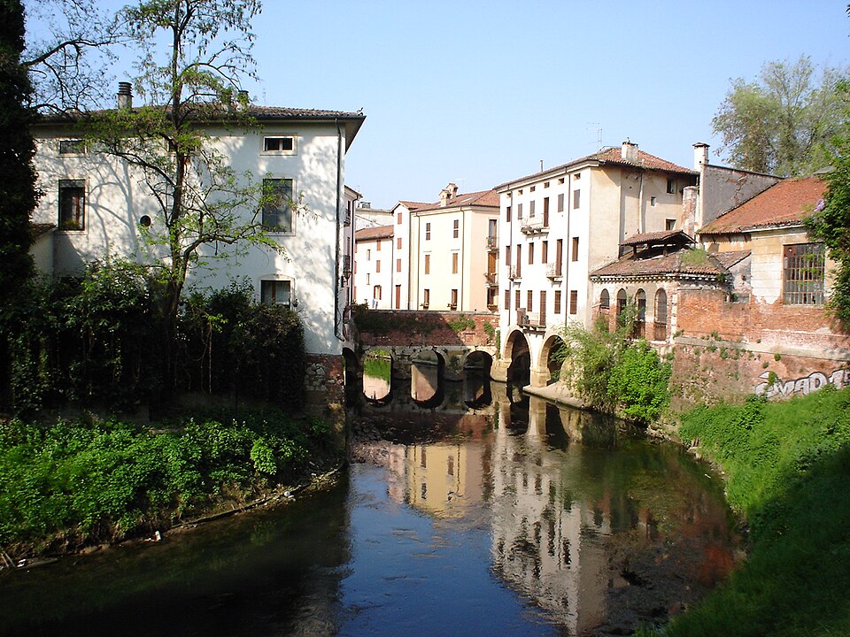 Vicenza in Voga