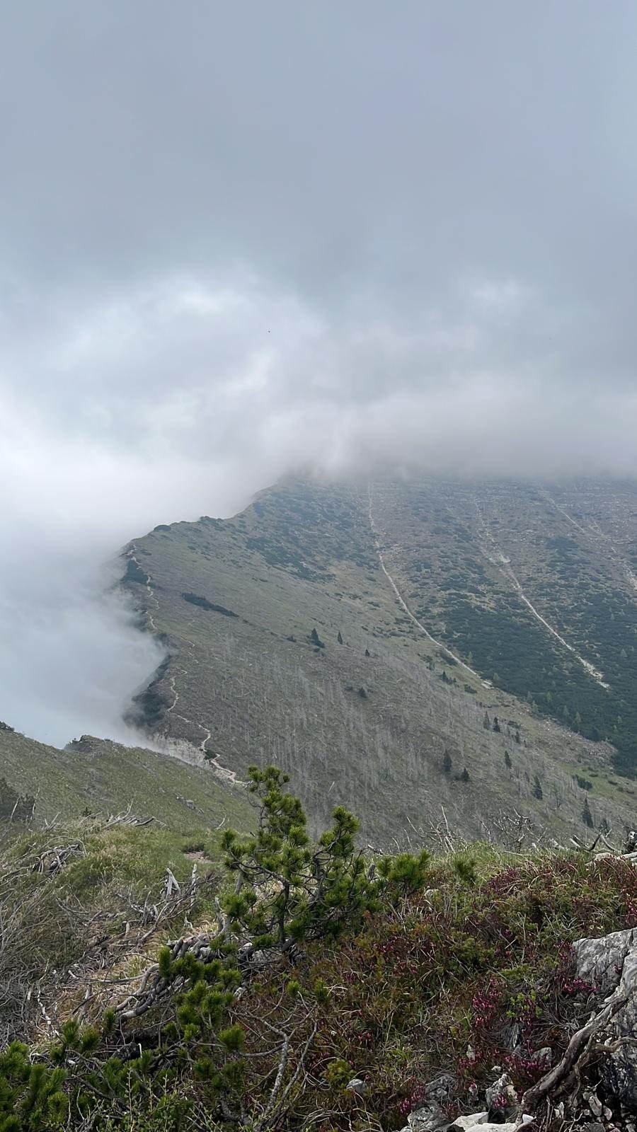 Malga Larici di Sotto