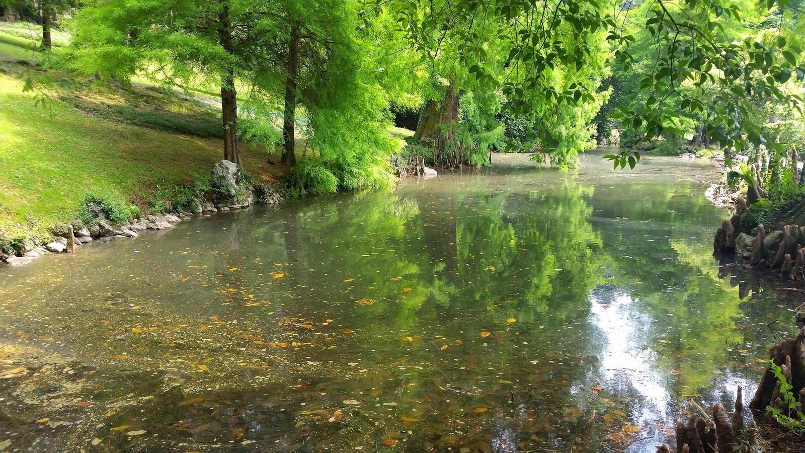 Parco Rossi