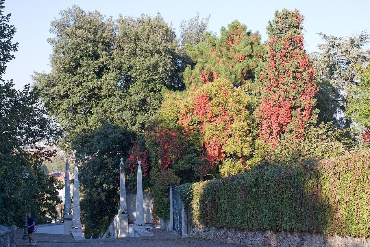 Scalette di Monte Berico