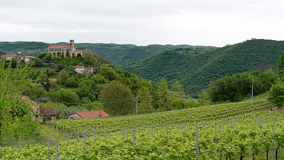 Vineyards on the Colli Berici hills below a hilltop village near Vicenza
