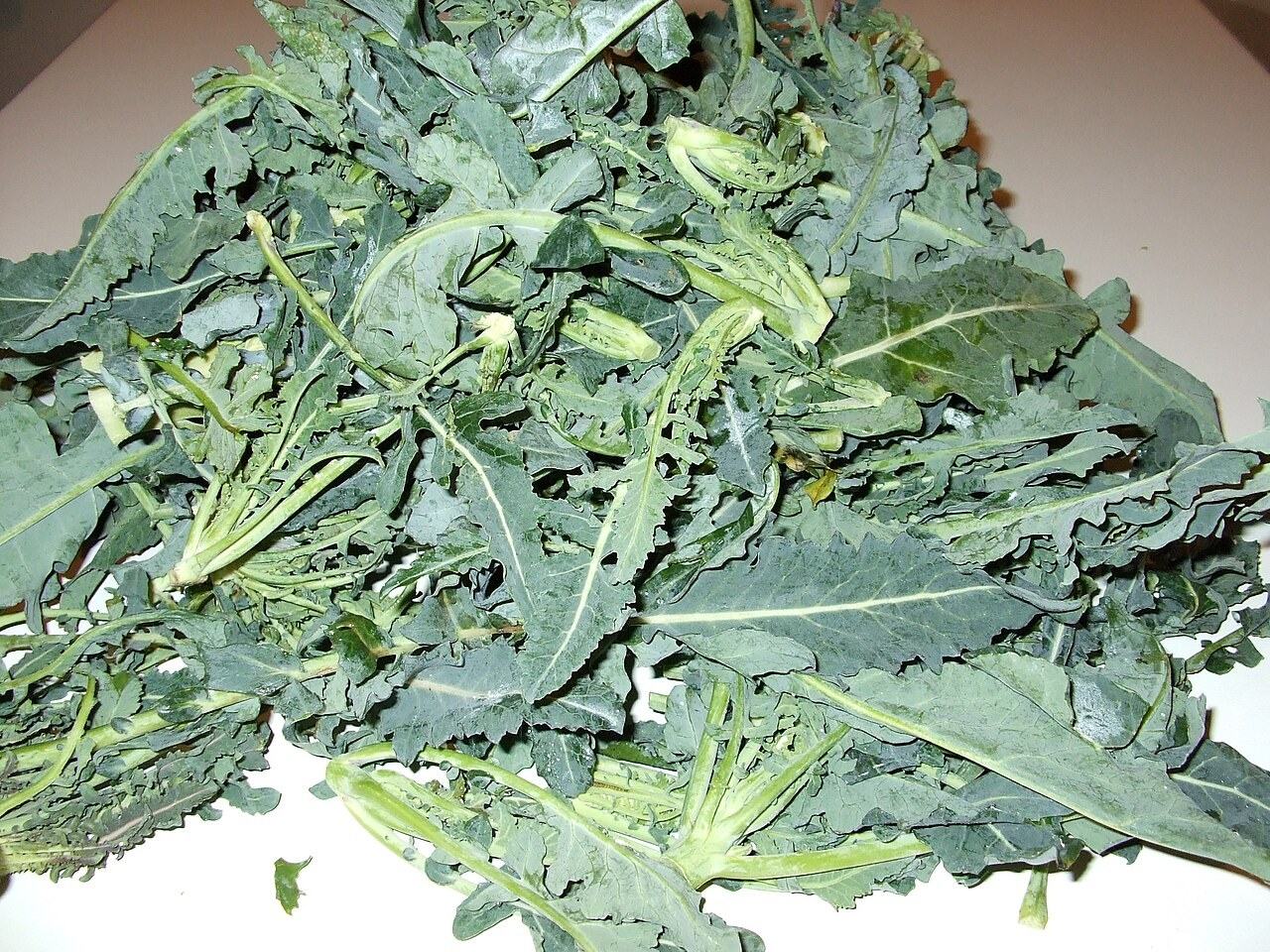 Broccolo fiolaro, the winter vegetable from Vicenza now grown and cooked in Japan